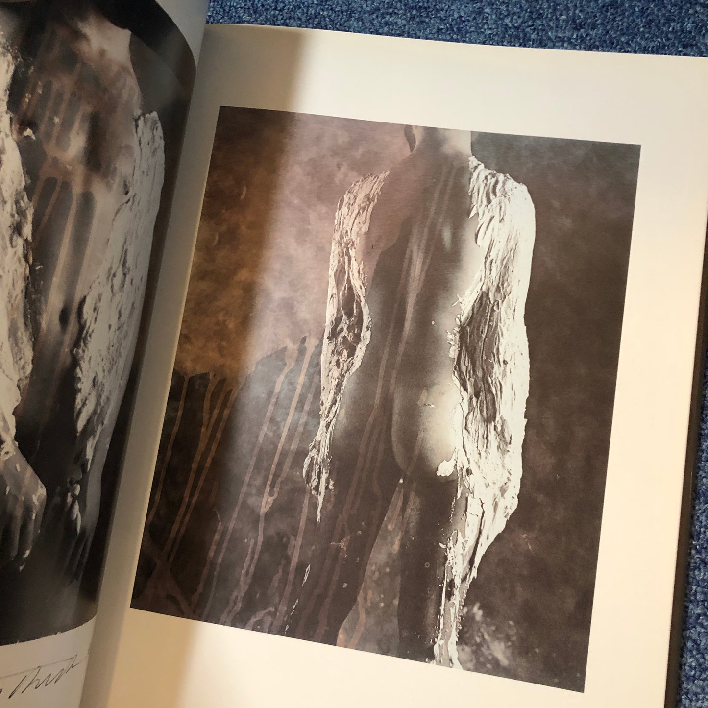 40010 | Emerging Bodies nudes from the polaroid collections