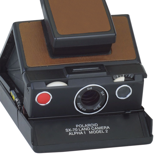 10031 | alpha 1 model 2 black / brown (02) m