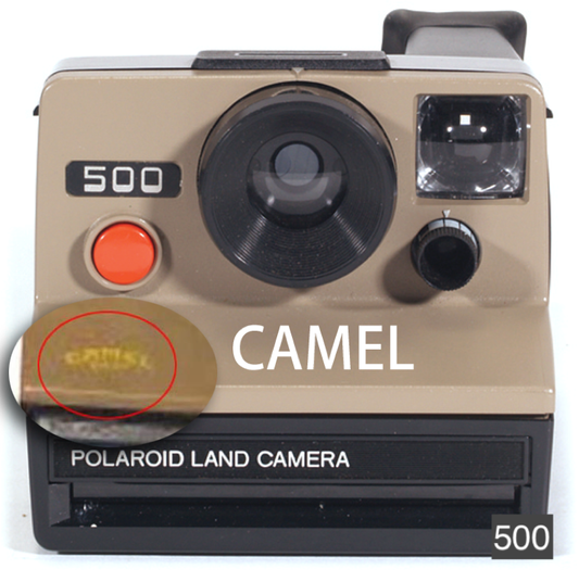 10034 | 500 camel