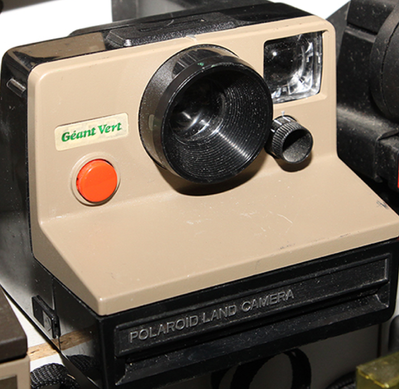 10034 | camera (sample) geant vert