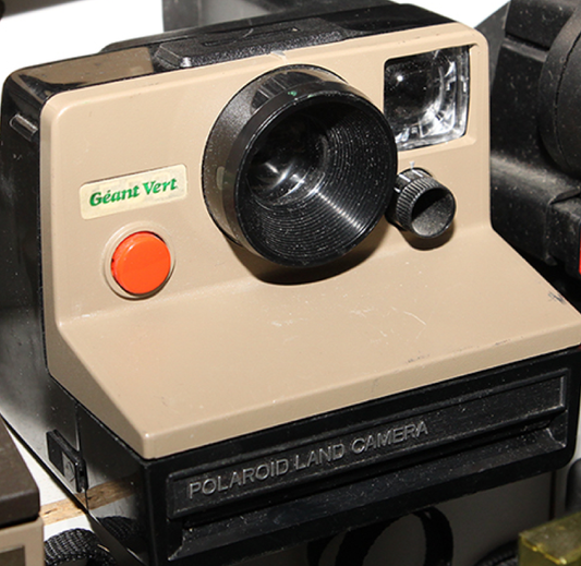 10034 | camera (sample) geant vert
