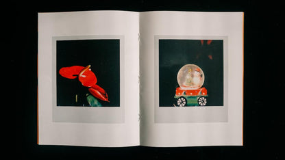 40031 | polacosmic #03 still, life
