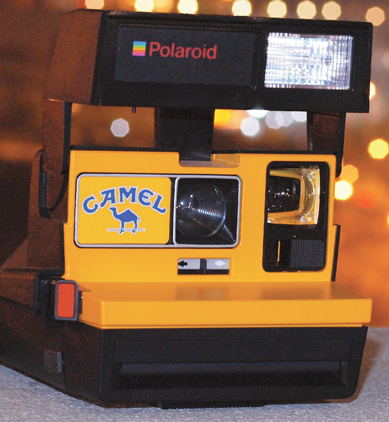 10042 | camel