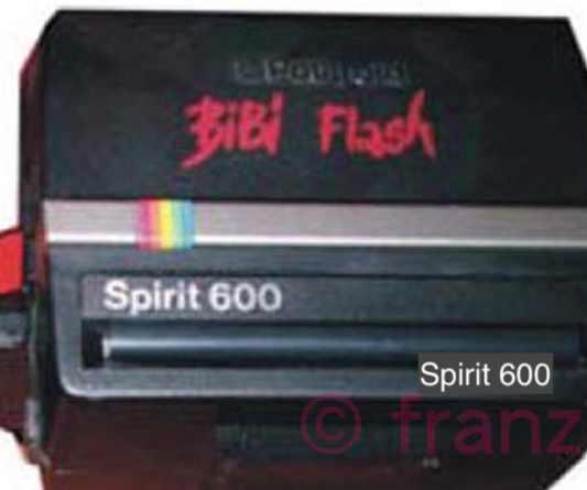 10042 | Spirit 600 BiBi Flash