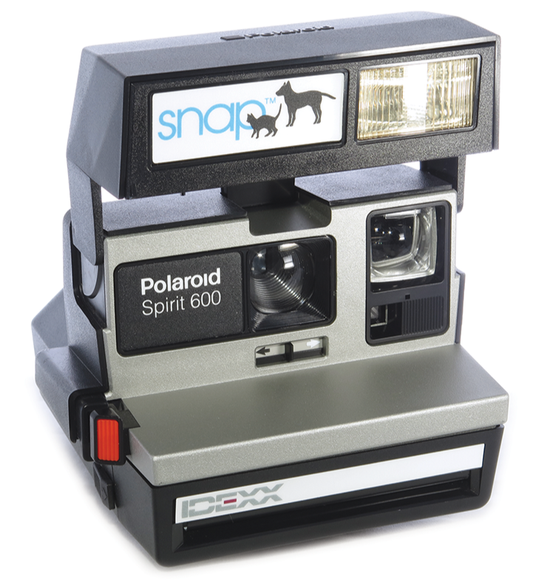 10042 | Spirit 600 snap IDEXX