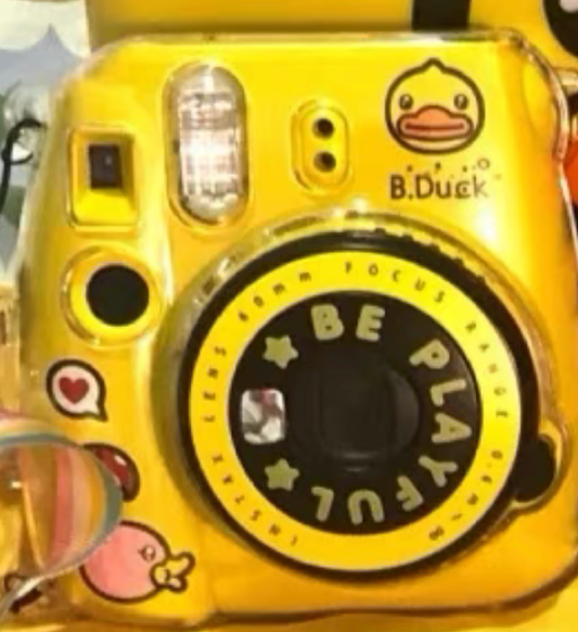 10202 | instax mini 9 B duck