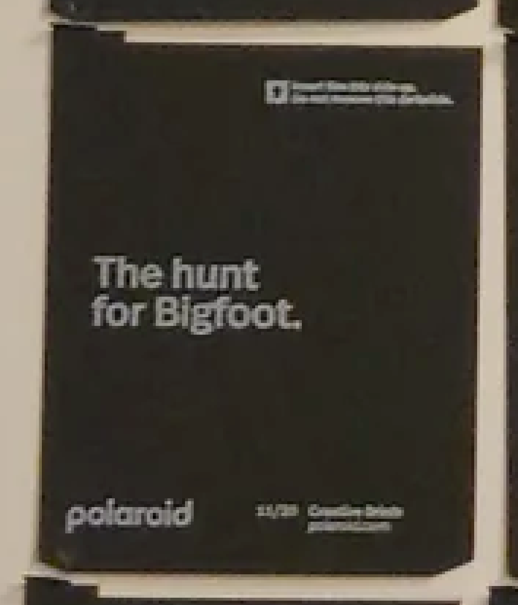 DS_05 | polaroid new logo creative briefs 20-11