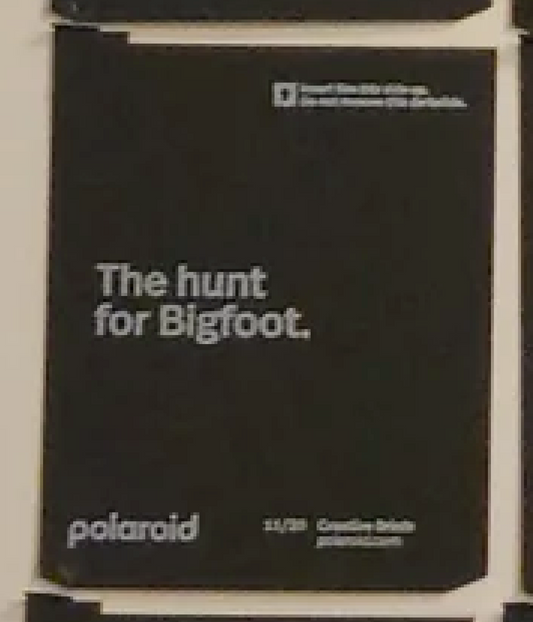 40351 | polaroid new logo creative briefs 20-11