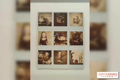 exhibition | 2025-10-01 Polaraki, a thousand polaroids by Araki Nobuyoshi: the Musée Guimet exhibition