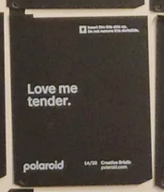 40351 | polaroid new logo creative briefs 20-14