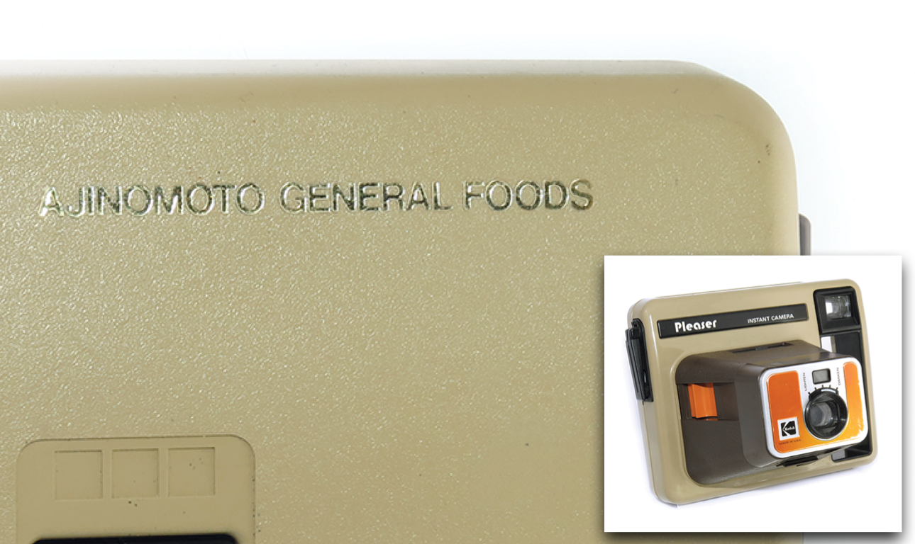 10401 | Pleaser Ajinomoto General Foods