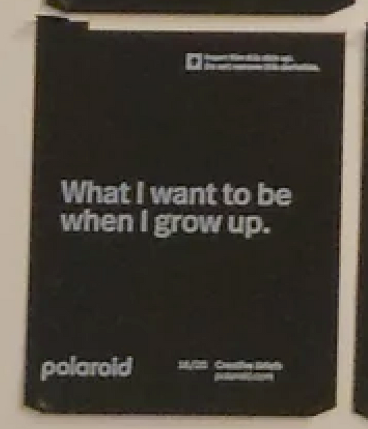 40351 | polaroid new logo creative briefs 20-16