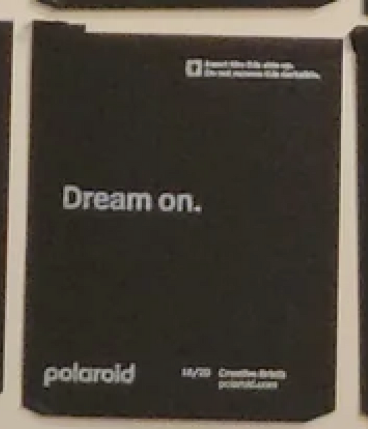 40351 | polaroid new logo creative briefs 20-18