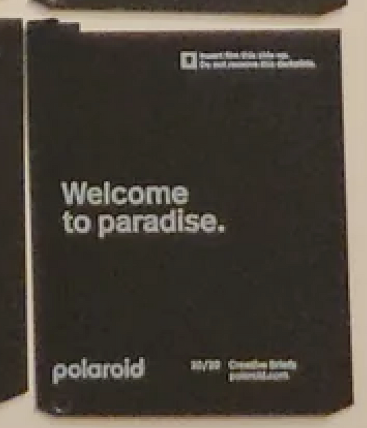 40351 | polaroid new logo creative briefs 20-20