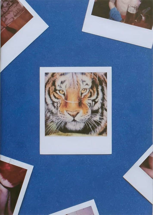 40010 | TIGER