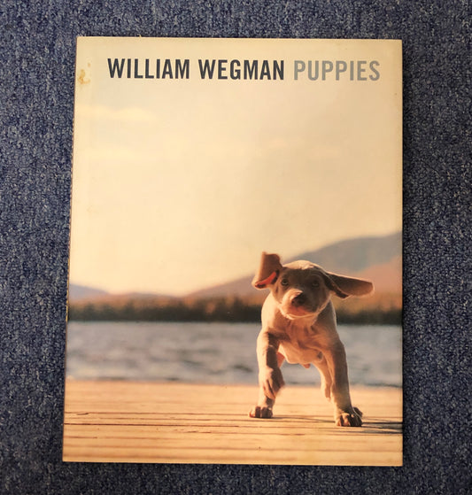 40010 | william wegman puppies