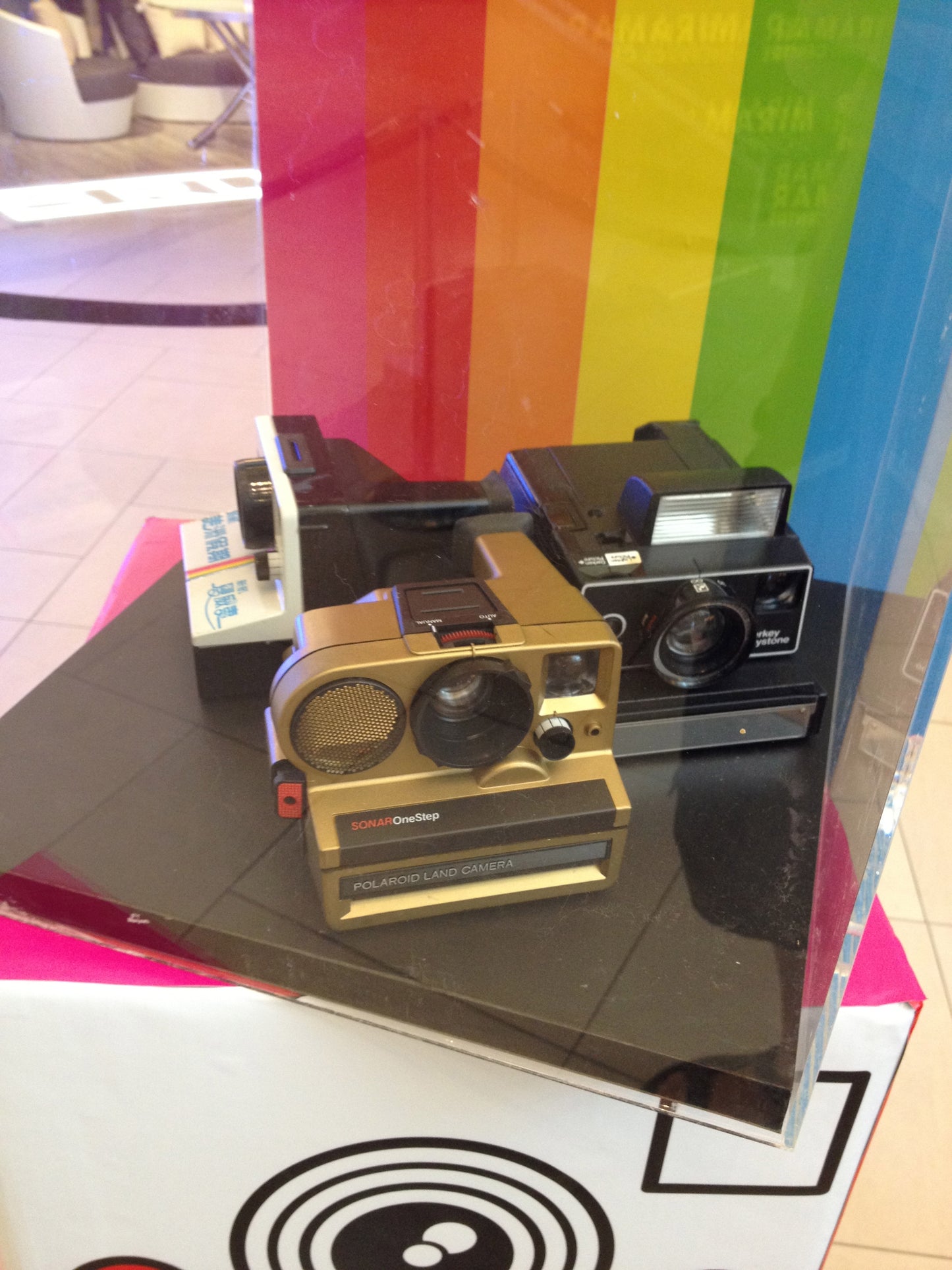 exhibition | 2012 miramar camera