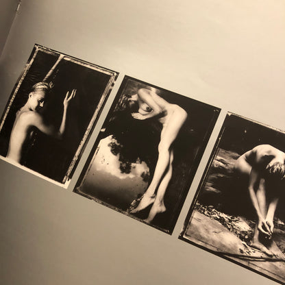 40020 | polaroid first international photography awards