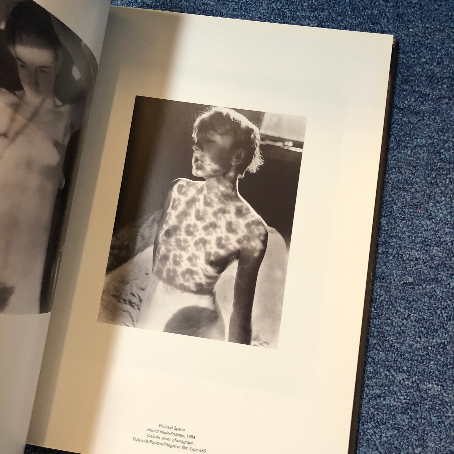40010 | Emerging Bodies nudes from the polaroid collections