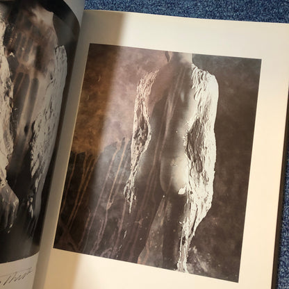 40010 | Emerging Bodies nudes from the polaroid collections