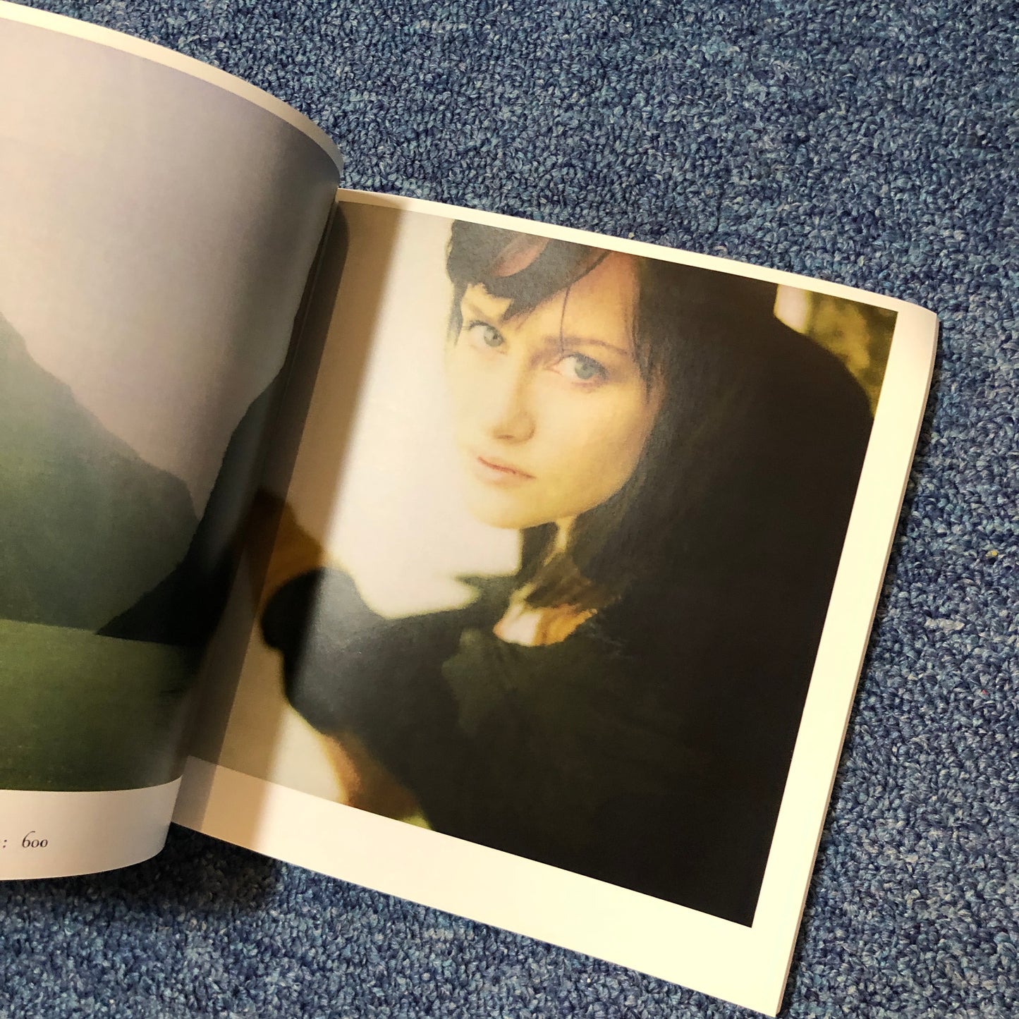 40010 | for the love of light: a tribute to the art of polaroid