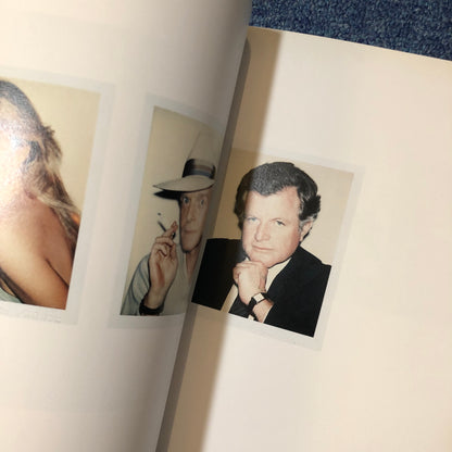 40010 | American  Perspectives: Photographs from the  Polaroid Collection