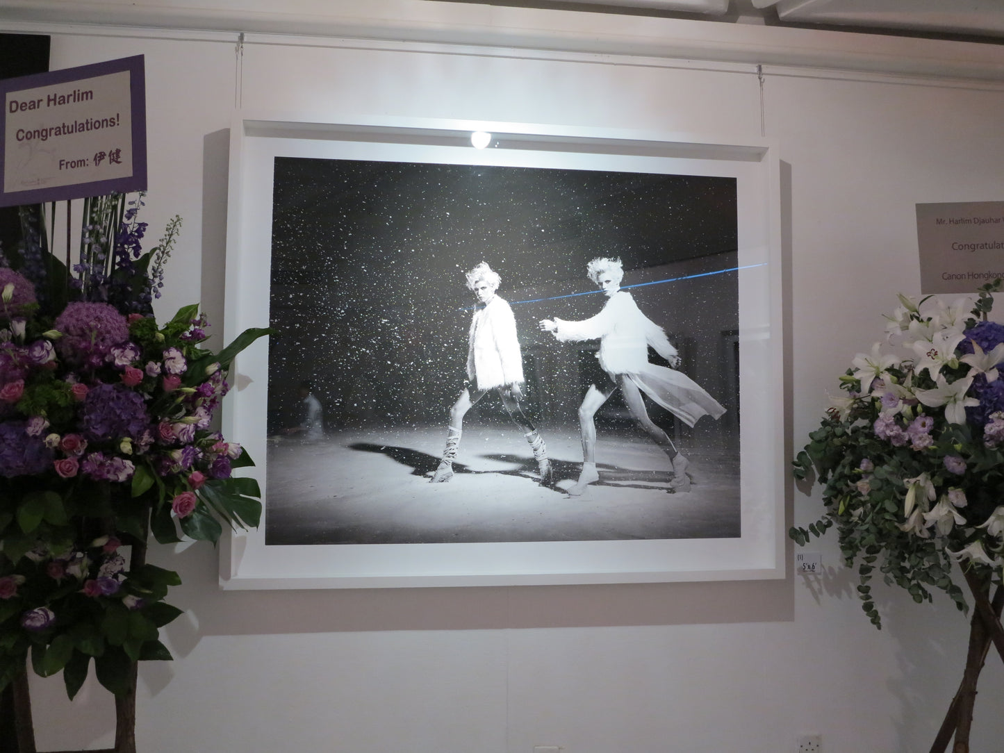 exhibition | 2012 180 8x10 polaroid works - Harlim Djauhar Winata