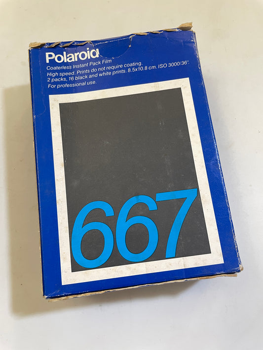 20021 | 667 2x (02)