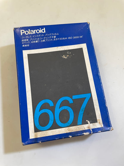 20021 | 667 2x (02)