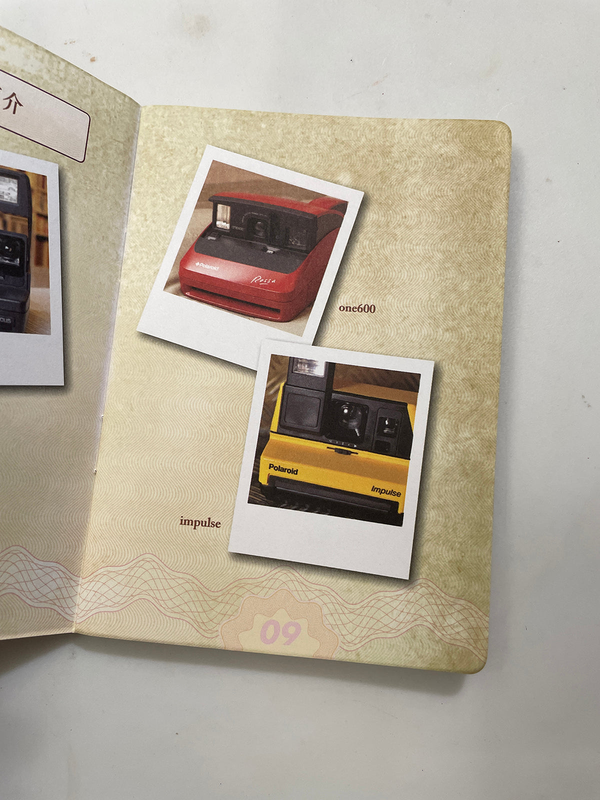 40243 | instant reborn passport 2010