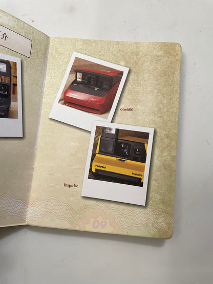 40243 | instant reborn passport 2010