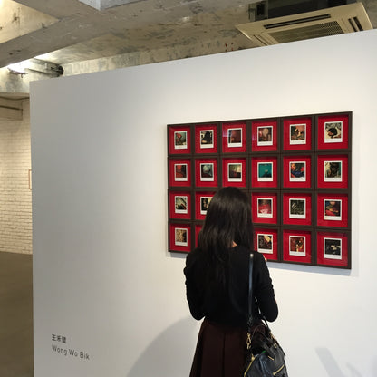exhibition | 2016 A Permanent Instant: instant photography from 1980s-2000s by Hong Kong artists - HONG KONG