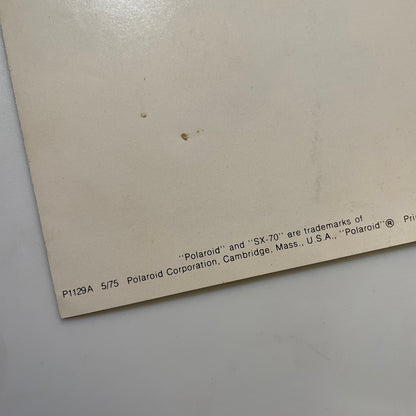 40111 | SX-70 ever-ready case | P1129A 5/75
