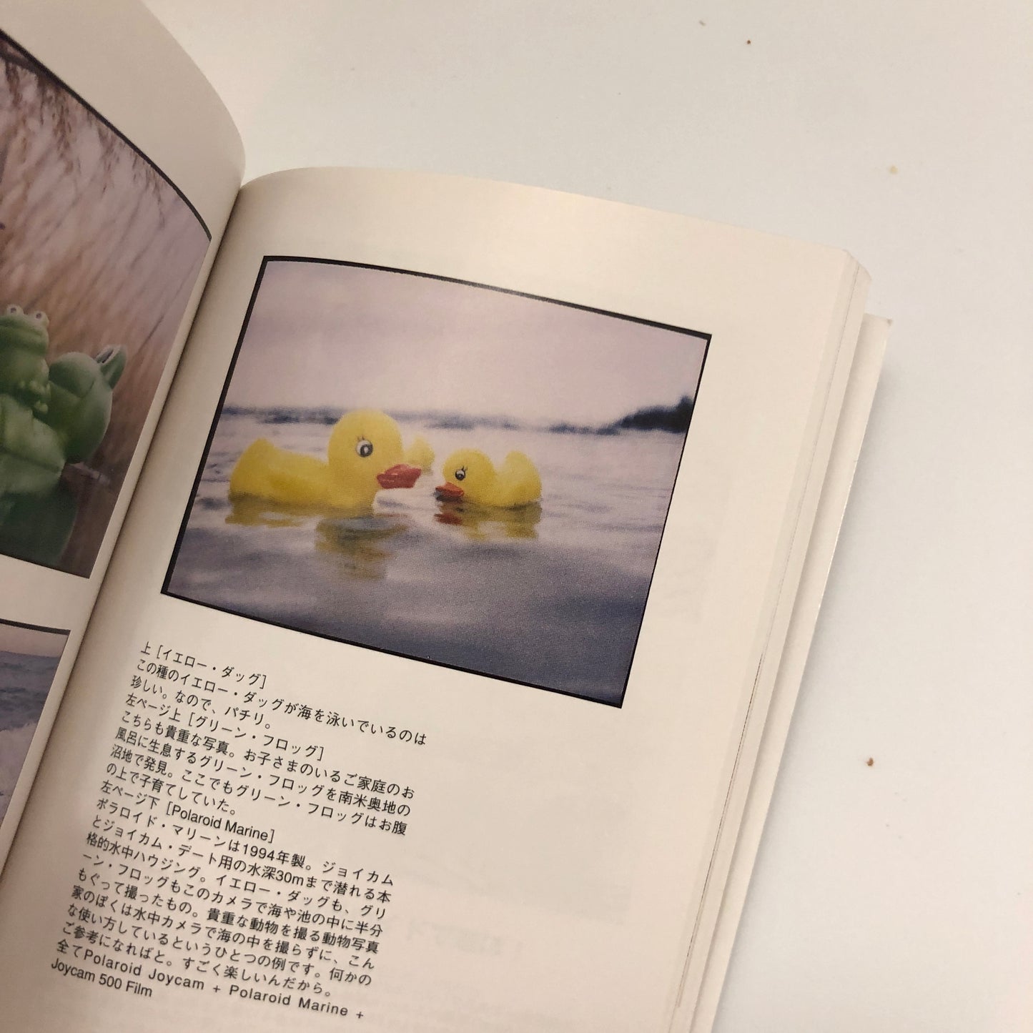 40020 | Time with Polaroid ポラロイドの時間