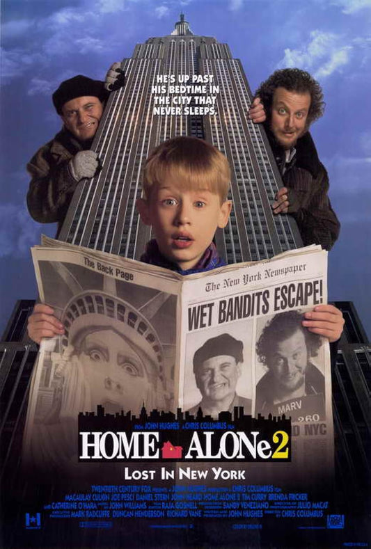 50012｜1992 Home alone 2