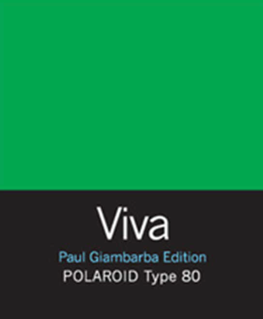 20024 | viva color (05)