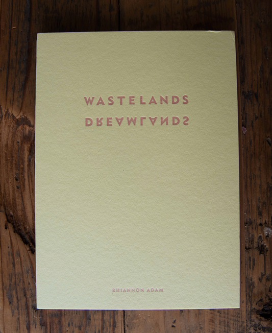 40010 | Wastelands Dreamlands