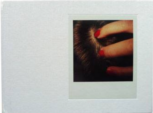 40010 | POLAROID SX-70 1979-1983