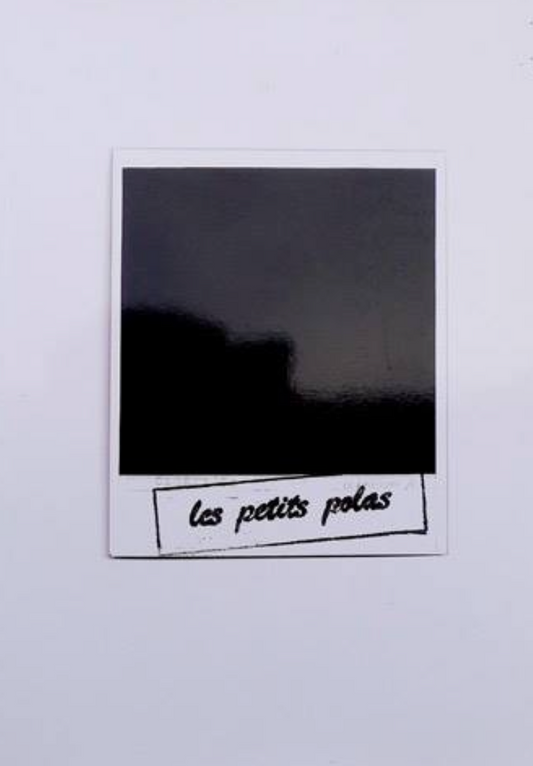 40010 | LES PETITS POLAS 2013 Mar