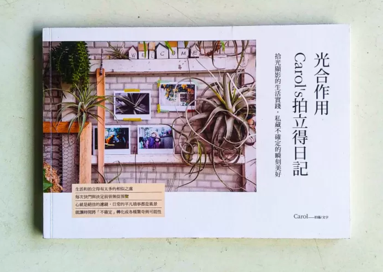 40020 | Carol's Polaroid Diary  光合作用 Carol’s拍立得日記
