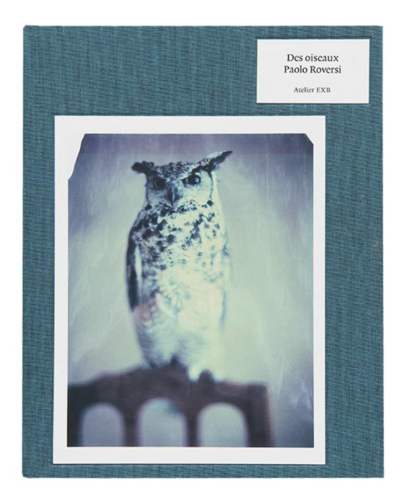 40010 | Des oiseaux - Paolo Roversi