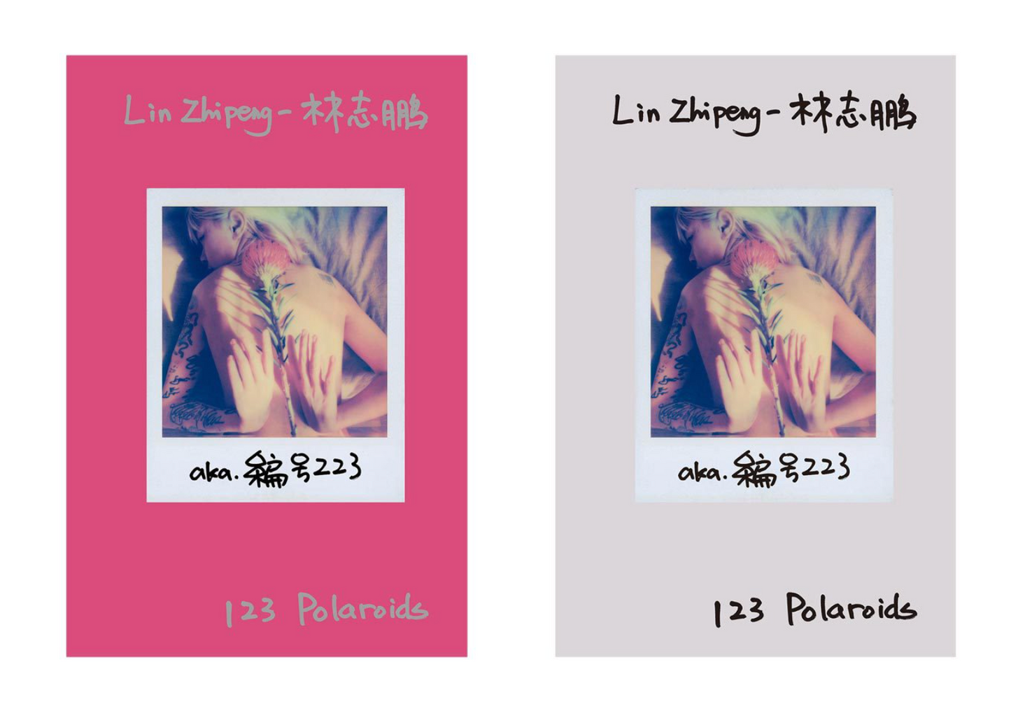 40010 | 123 Polaroids