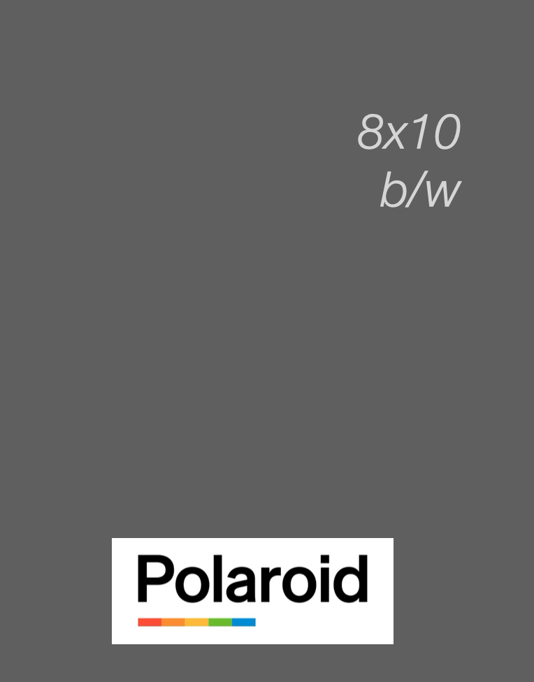 20813 | polaroid (02)  b/w