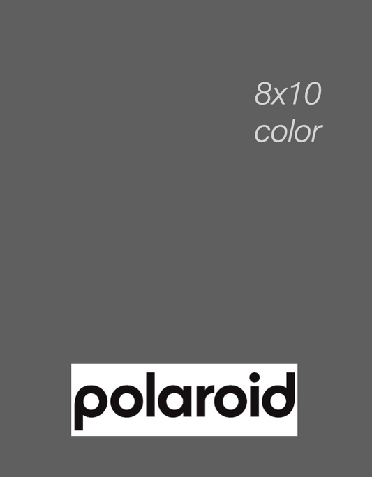 20813 | polaroid (new logo) color