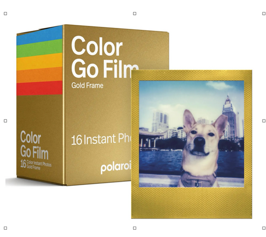 20091 | go color gold frame