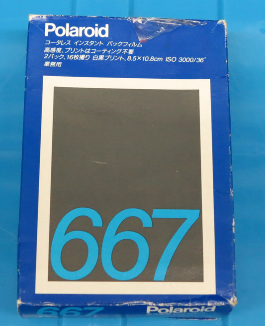 20021 | 667 2x (02)
