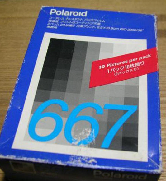 20021 | 667 2x (04)