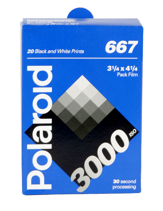 20021 | 667 2x (06)