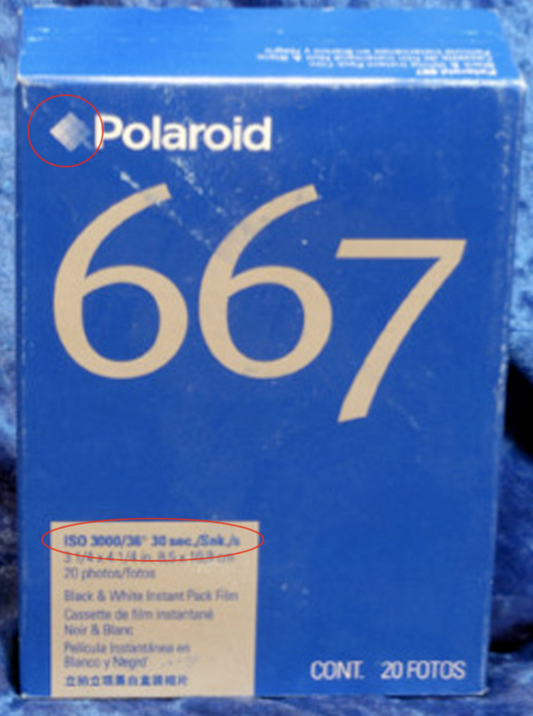 20021 | 667 2x (08)