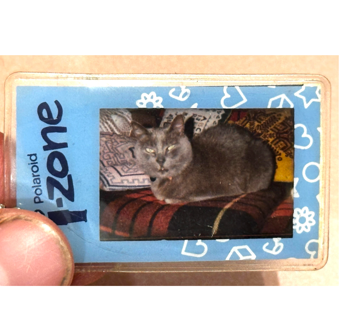 30071 | i-zone keychain (06)